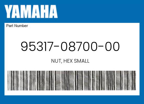 2008 Yamaha OEM Part 95317-08700-00
