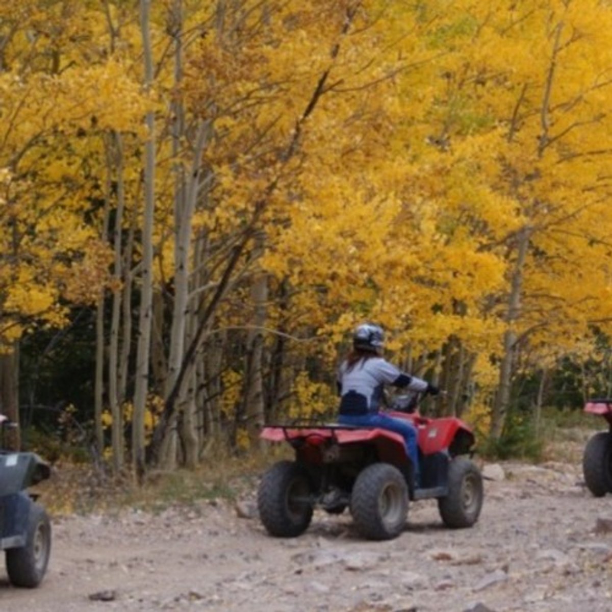 Autumn ATV Trail Riding With Kids