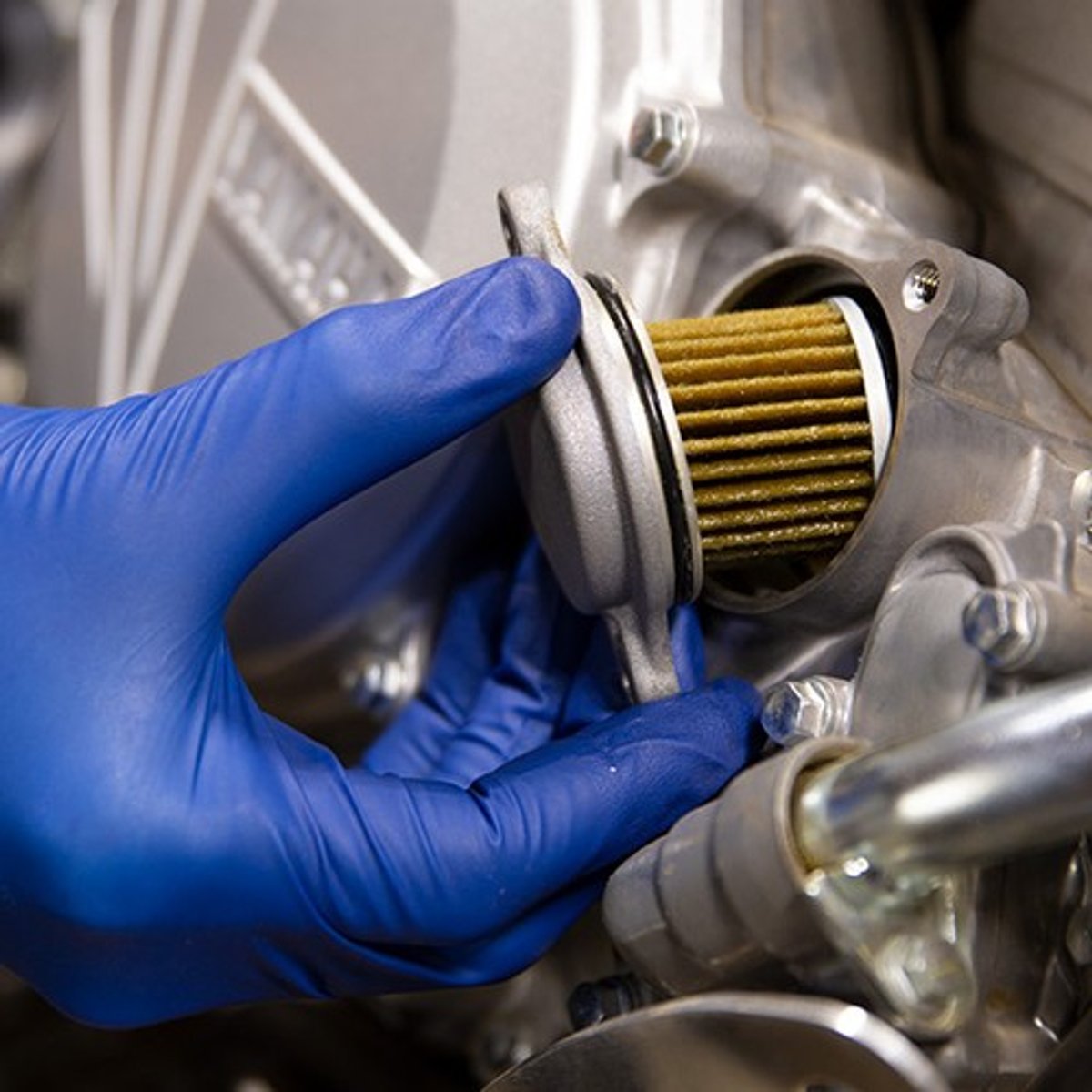 Are You Ready to Ride?