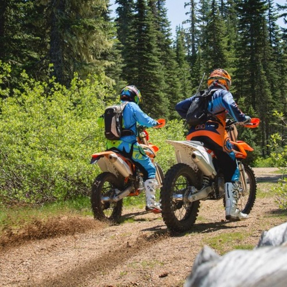 What You Need to Know About the Tire Mousse