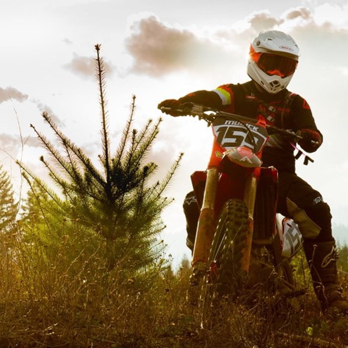 X-Ring vs. O-Ring Chain