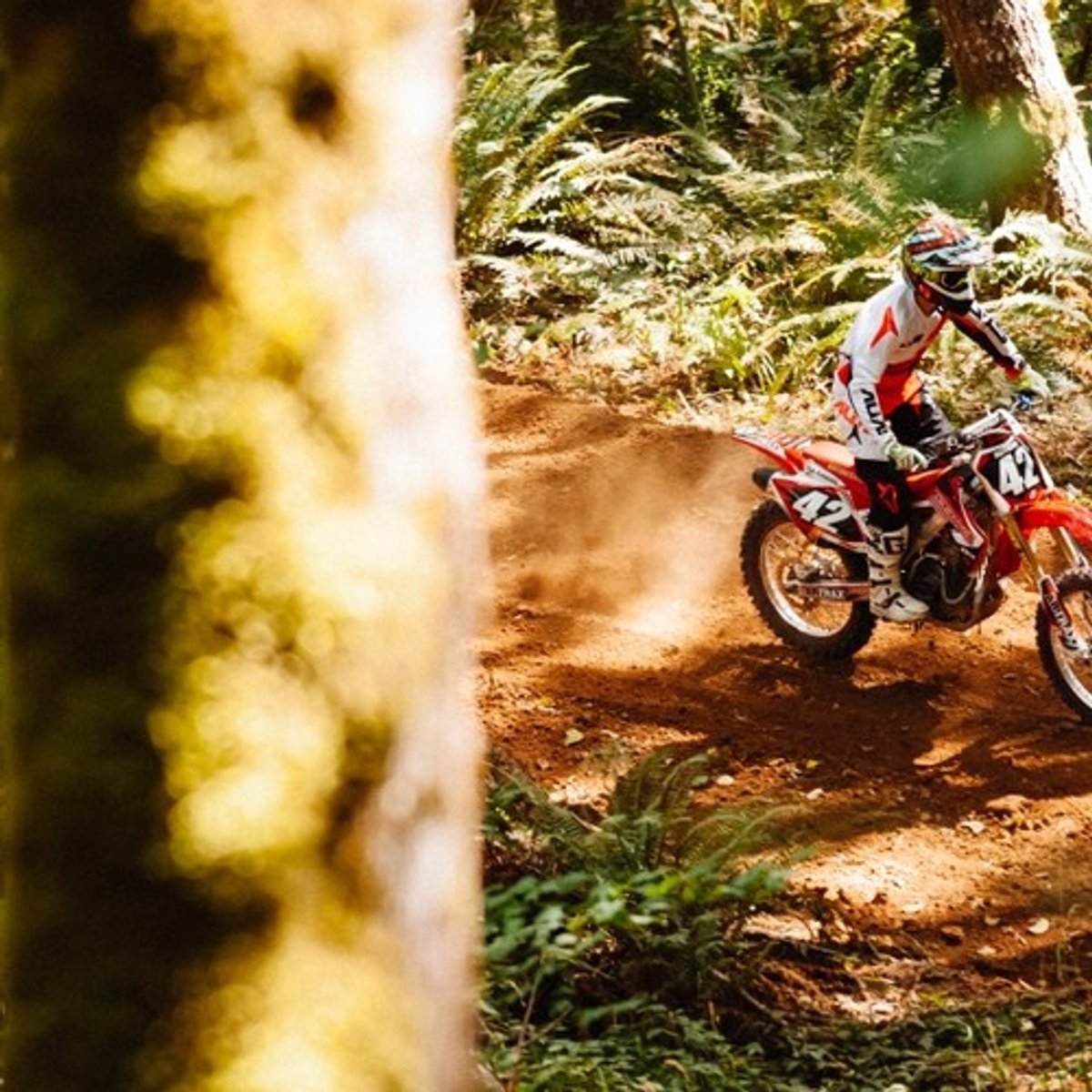 The Do's & Don'ts of Trail Riding: Dirt Bikes & ATVs